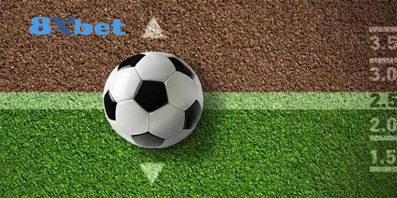 Giới thiệu các tân binh mới tại giải đấu
